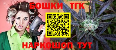 тгк Обь