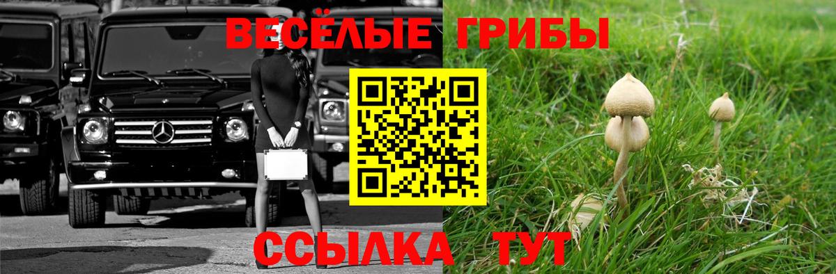 Псилоцибиновые грибы MAGIC MUSHROOMS  Вход с VPN  Рославль 